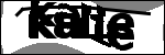 Text der identifiziert werden soll